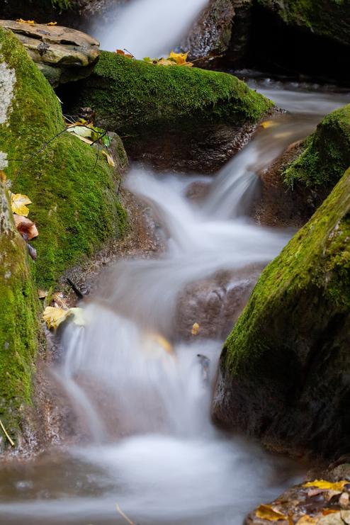 Klares Wasser fließt über moosbedeckte Steine in einem kleinen Bach, umgeben von herbstlichen Blättern.
